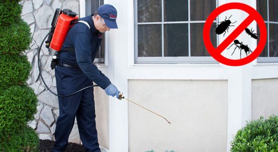Arnavutköy Dezenfeksiyon böcek ilaçlama ve haşere kontrolü — ilaclama-tr.com